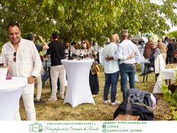 Festival Mar de Tethys 2026 - Bodega Vetas